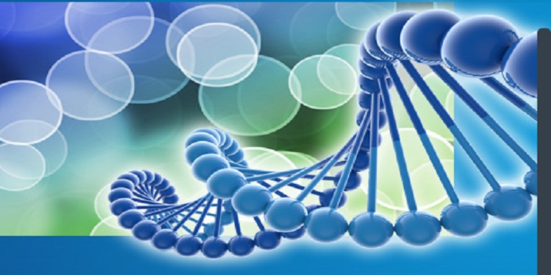 Biotechnology Instrumentation Market - Analysis & Consulting (2018 - 2024)